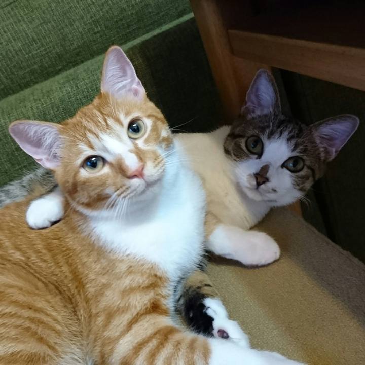 67a95725 68ff 42fd a9a8 a25d20c6aecb