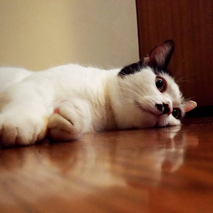 67a98330 0f8b 4ad3 acda 2ba33fac7b87