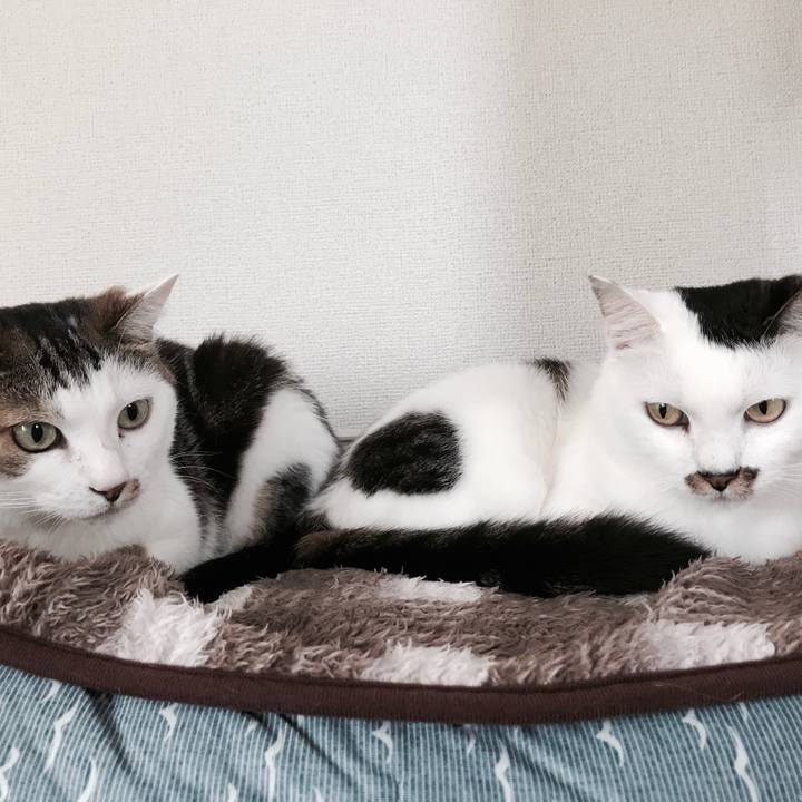 67a9a1b8 6cc4 44a2 8b0a e4f941750433