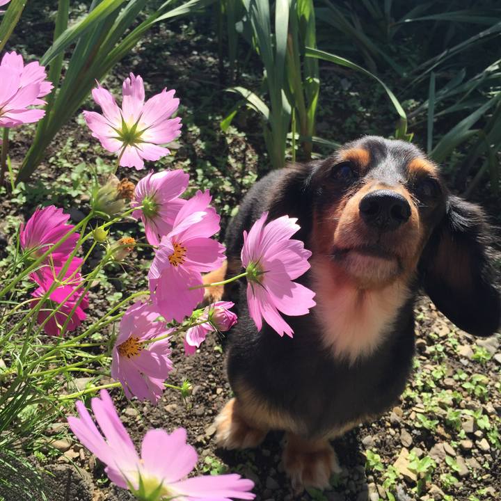 67a9b7c3 058b 4e18 9439 19984d1c1a4d