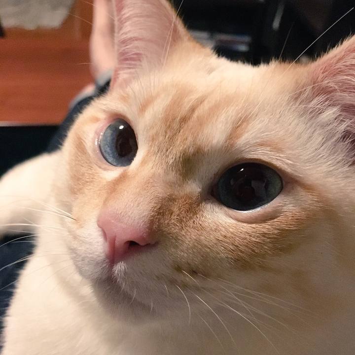 67a9bafb f2b6 4bbb 8c5d 2f8a7f769c7a