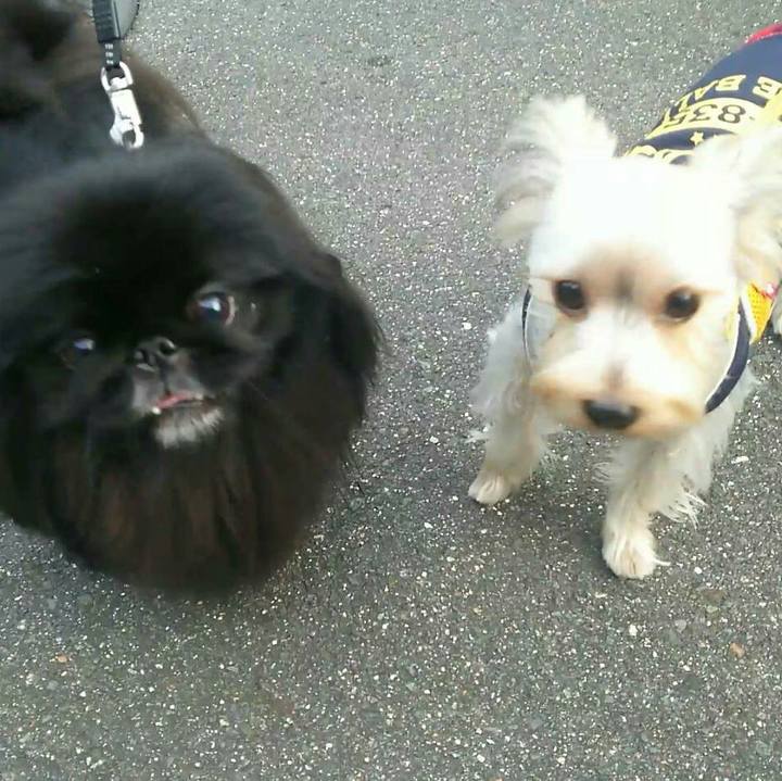 67a9ff47 697b 42cf b46d 9d9463b038f4