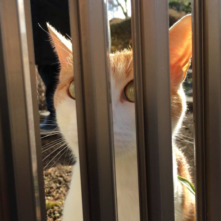 67ab366d fcdf 4bcc a3e2 9ceb2b86d2ed