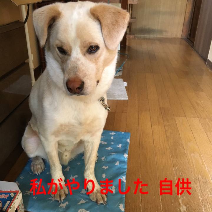 67ab8eef 6f24 42ad a8c4 737004fe3c29