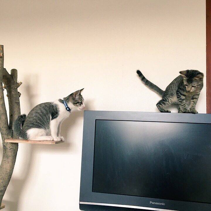 67abfb88 14f8 4d5b a4aa 86272189f836