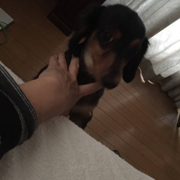 67ac0f6a e555 4424 bc9e f4b86cb4b430