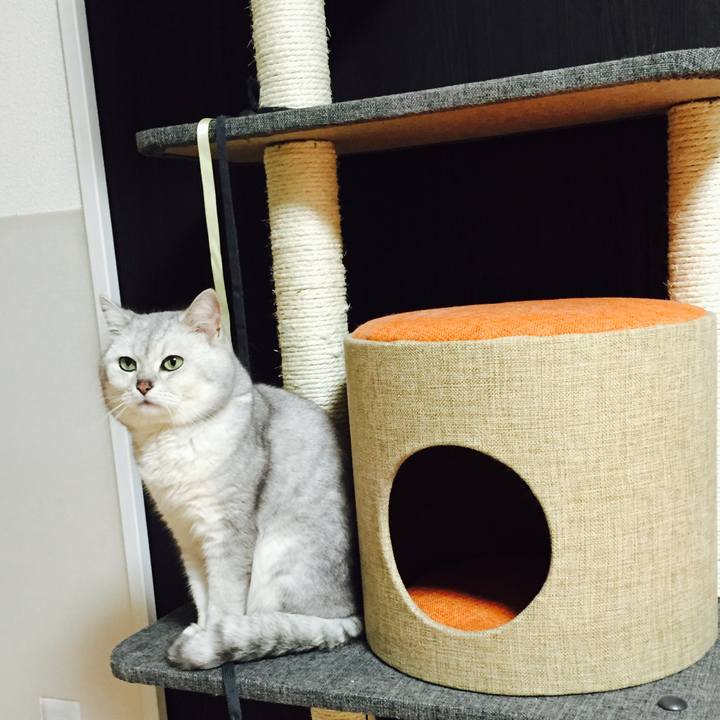 67ac379d 941d 4a20 be10 4b5027d0946d