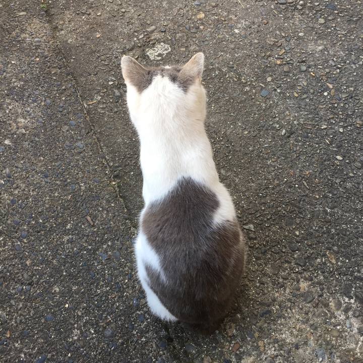 67acd497 57a1 48e5 a3e6 3746ad2e72f6