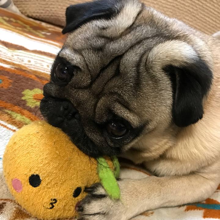 67ad0a18 6462 4221 915f f1b9077aaf30