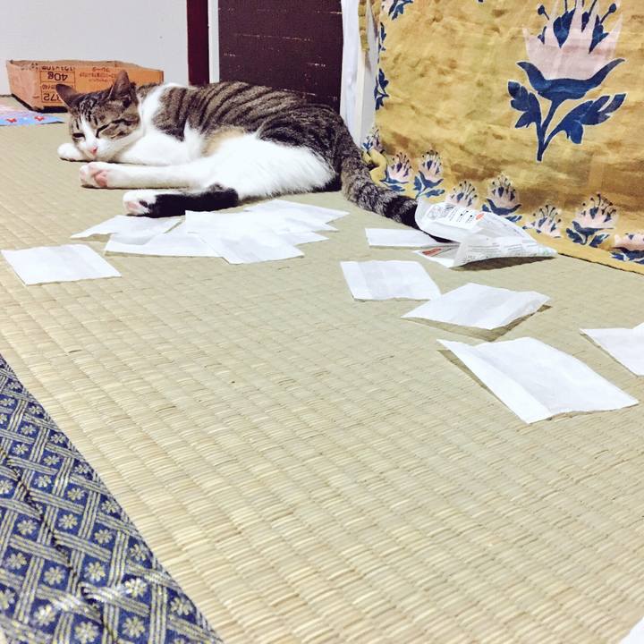 67ad3065 9f39 45c4 b967 b244d5f0f041