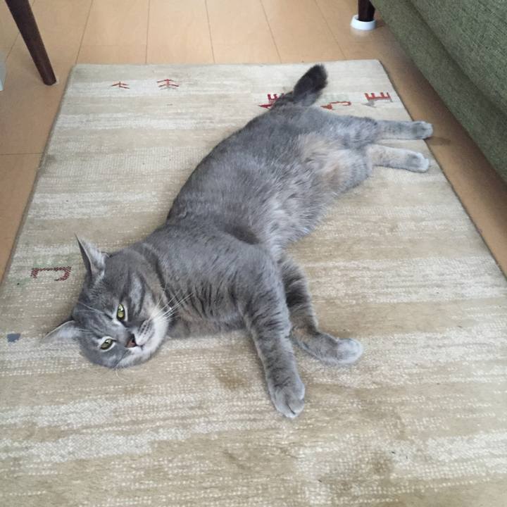 67ad814d 07b4 4661 ae68 bea829aa9e23