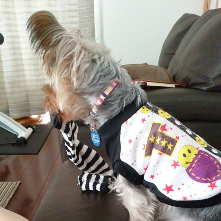 67adc757 9d05 4ae2 a06e 1af3216b6007