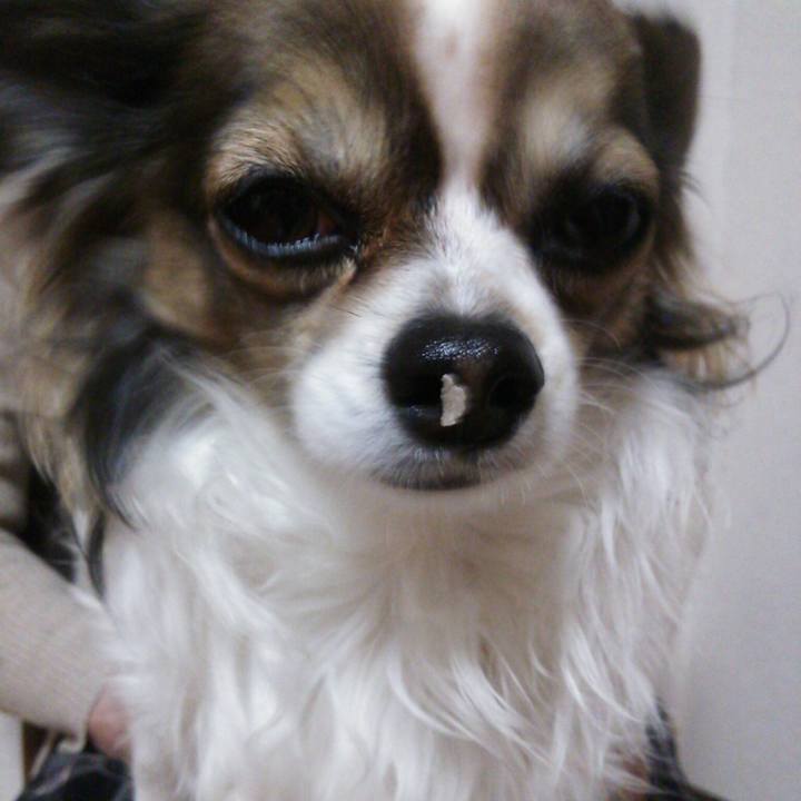 67add264 54aa 42a7 9054 fa91b2d4c2c3