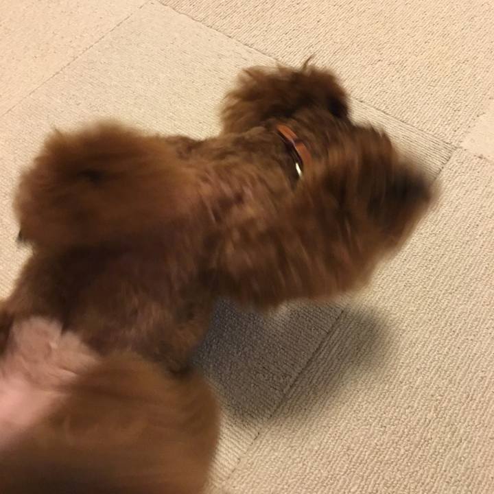 67ae2770 ed20 4f77 89d8 b22dda66d79f