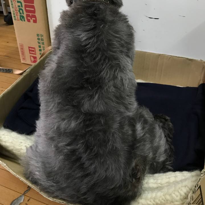 67aecba0 c955 40e0 898f edda349b7cd4