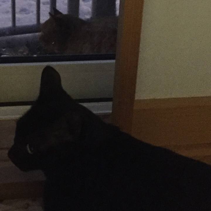 67afd830 0c4b 4efa 93ac a2db6437c390