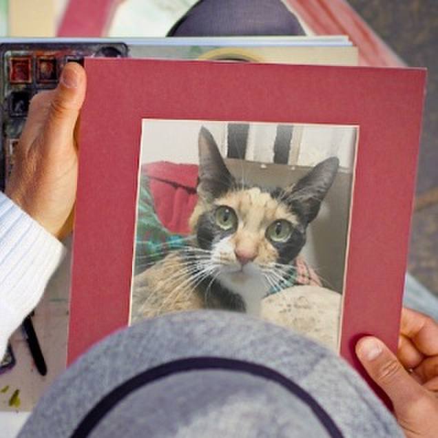 67b1b751 94fc 4fcb bdb1 34c31ade8186