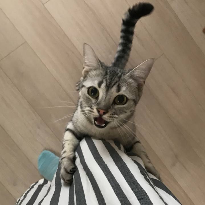 67b1d14c c8cf 4aac b060 7725e5052128