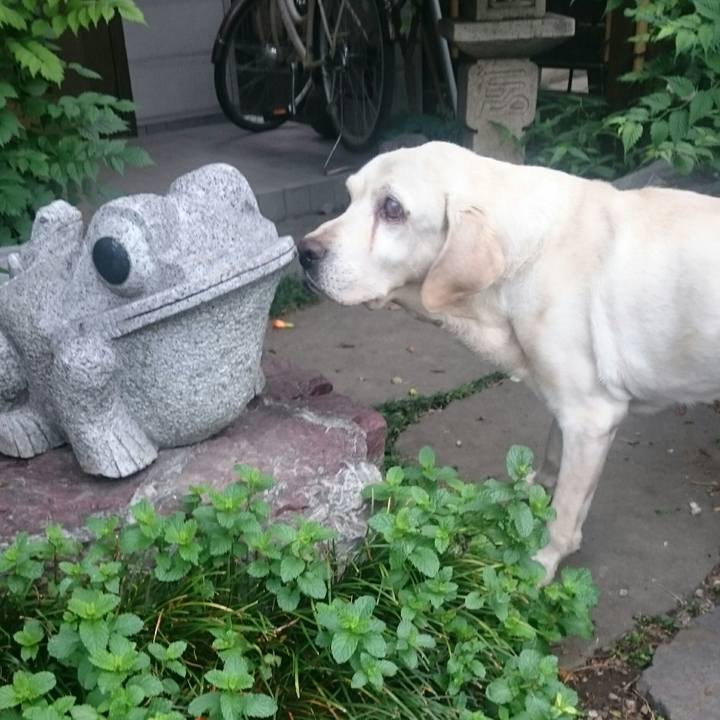 67b20531 6e66 44fa bbb4 324651d37427