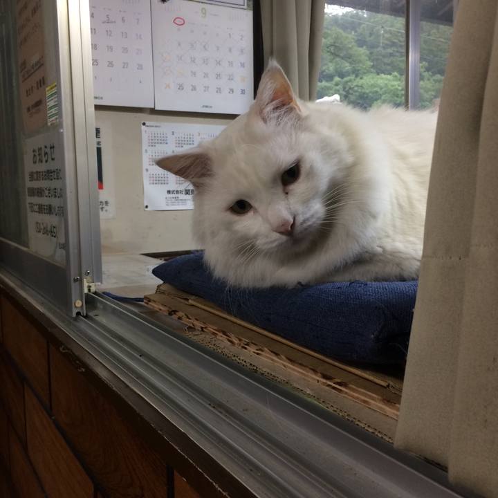 67b23be6 4a9c 423a b9a9 5fb76155b26a