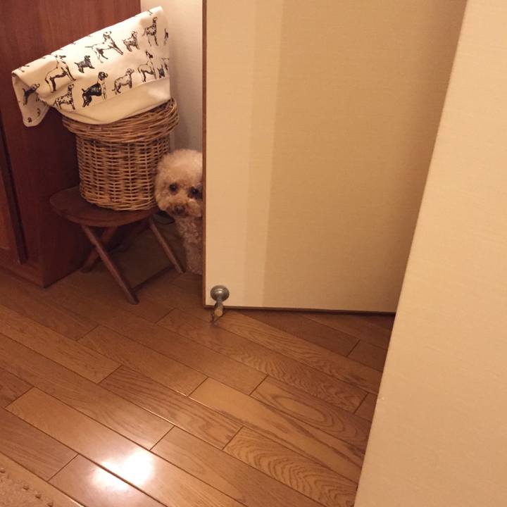 67b28516 0d46 4639 a00b 4c2c6db37a95