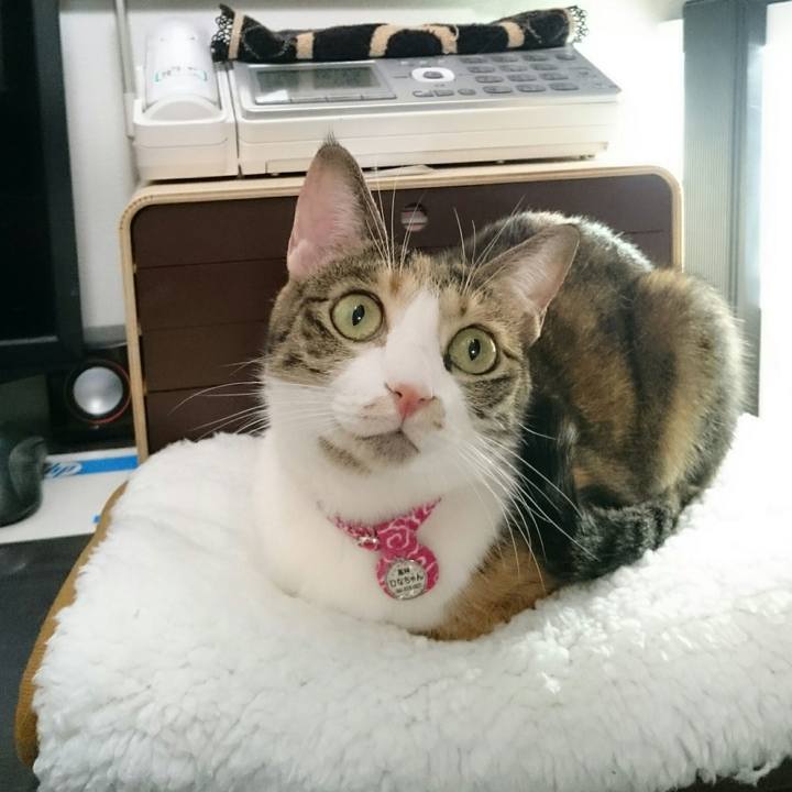 67b32884 ec49 42b2 a951 8263cdba7a34