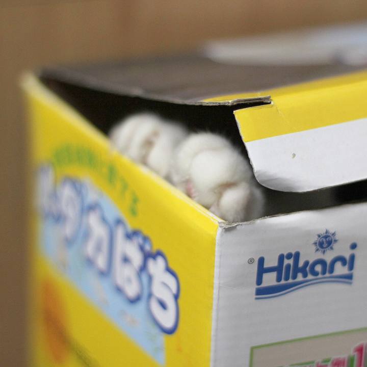 67b34c03 efd2 4652 9982 cef265252844