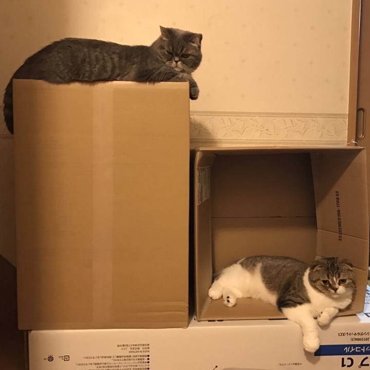 67b3b4ea 8da1 4119 a8d2 5fc6b822c622