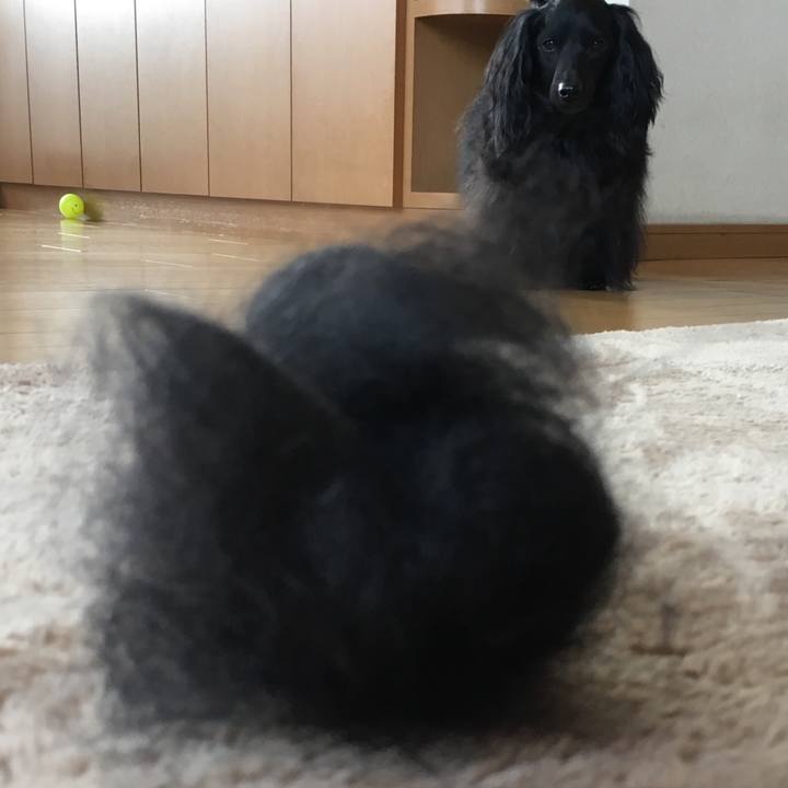 67b3f4ba e71c 4707 91cc d161f8c56d74