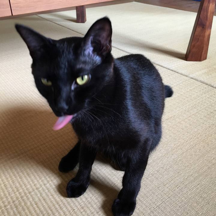 67b431a9 b9f6 4fb1 9013 1b0c19d02758