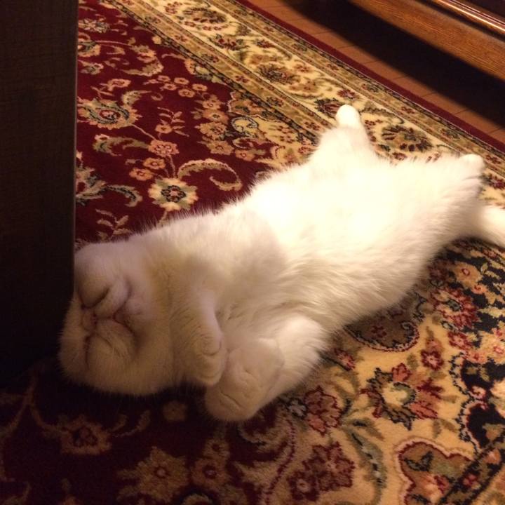 67b47b6a 901d 444b afdd 81846d3213a3