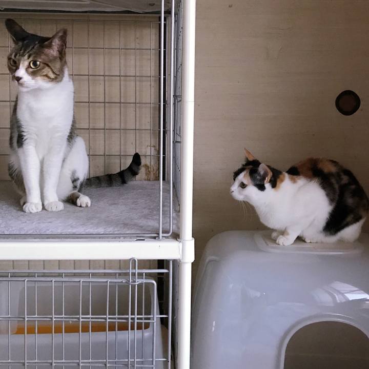 67b4a688 84da 4eb2 8813 dd6040f5534c