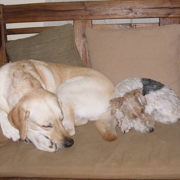 67b4b82c c966 47c9 b956 3b08a39987c3