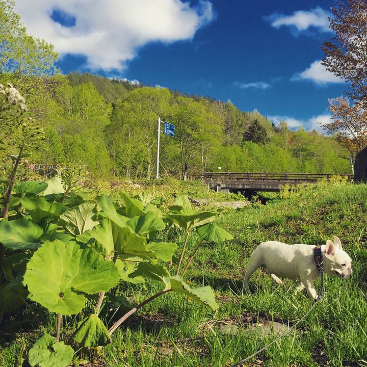 67b4ff78 28f6 476e ada6 ba74db51f191