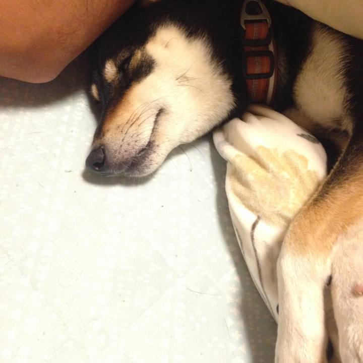 67b58373 5686 4f3e b321 2305cb188532