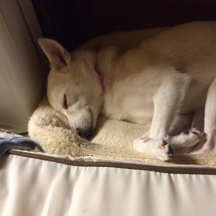 67b5aef8 9089 48be a74f 569851286ac0