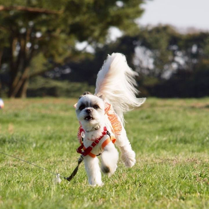 67b5c9c8 9def 4eb1 8cdd 9cc8e6458e8a