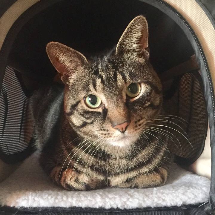 67b65050 4c4c 4a2a a90c 9382705ec5f4