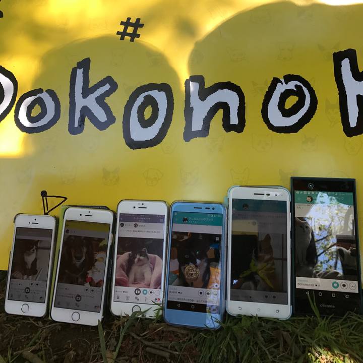 67b6d151 548a 4339 b4e3 138c3061cba1