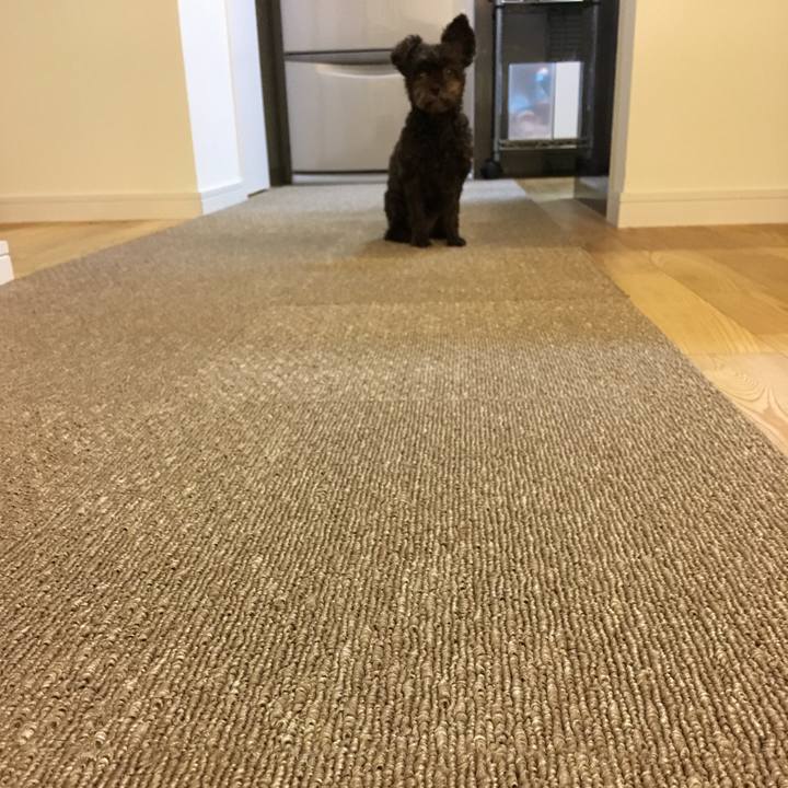 67b77064 f22d 461c 94a7 f290c9341b54