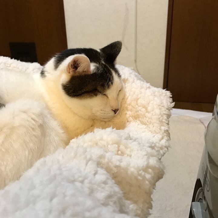 67b7b29c 87ca 4f6b b816 3e752e08546d