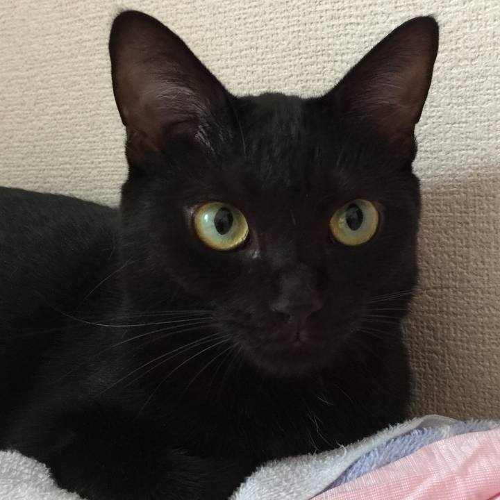 67b7d8ab 80ca 482f bd4f f049cfa72878