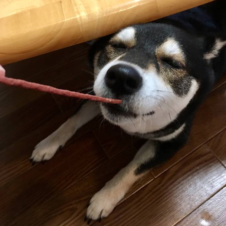 67b8282c 8b9f 490a af40 47271d6a38df