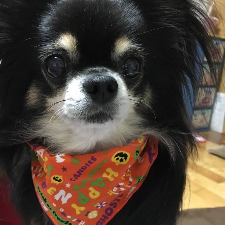 67b91fd1 03fb 455b b9a4 1013821391c3