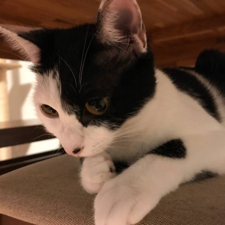 67b970e4 3071 4f9a 9880 709a90dd46c0