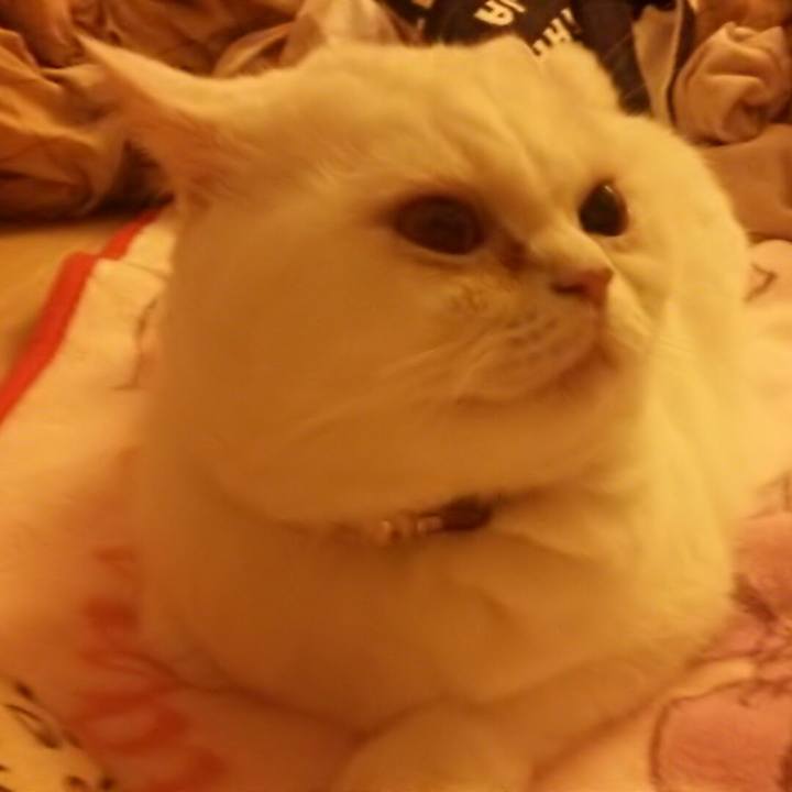 67b99df3 2251 4ba1 9581 527027f6fab5