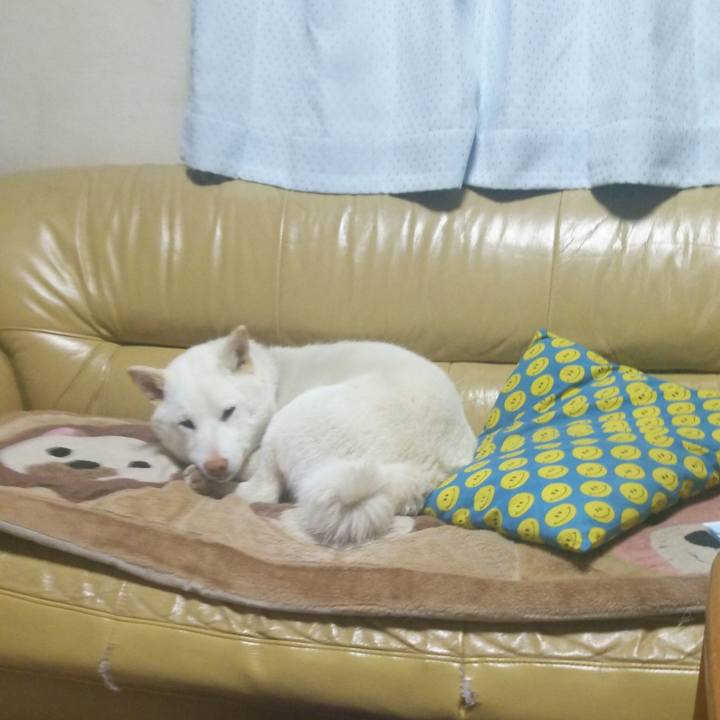 67b9a2b1 6a8e 41d3 b56d 3782ee3e62db