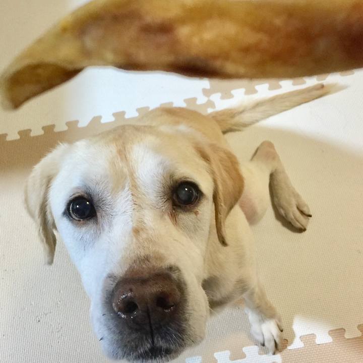 67ba7172 422c 4f8c a0fd 8fb07aa57483