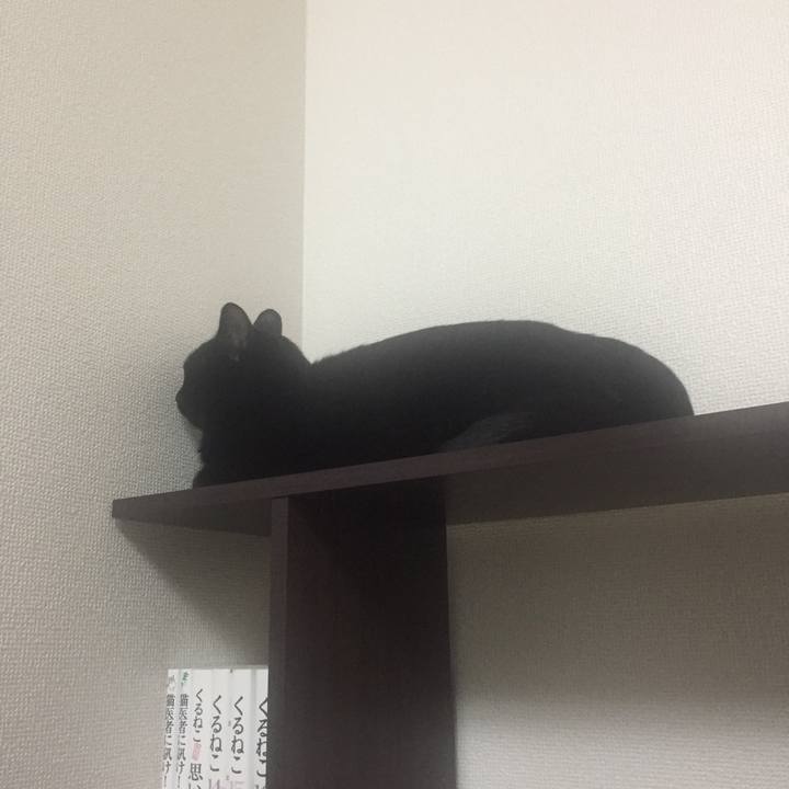 67ba9198 5529 4910 bc0f 4ae80dd47e85