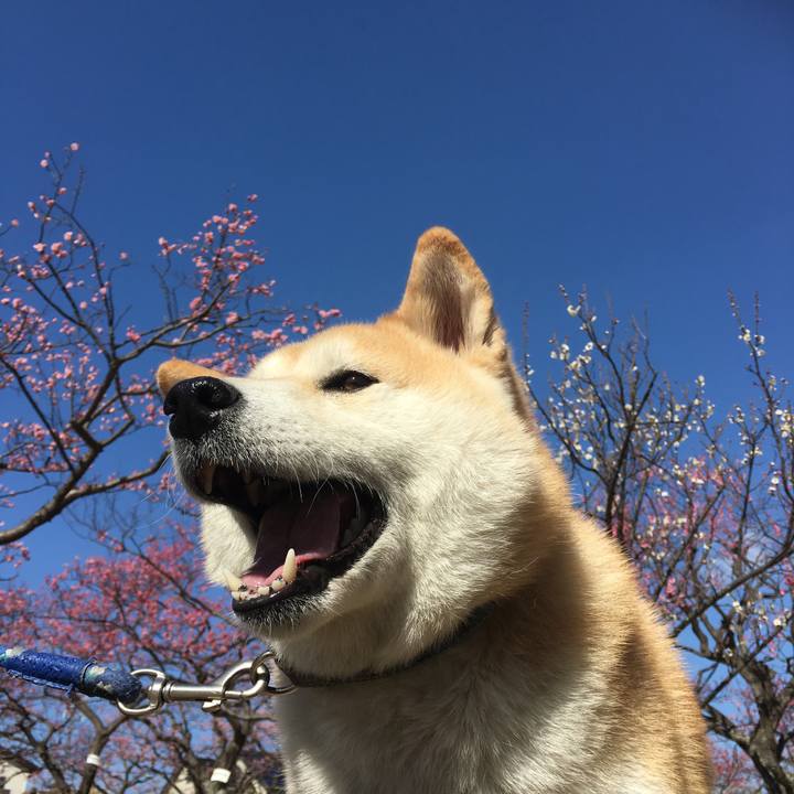 67bbc26b dd8e 4414 88f3 d34b3a4305b1